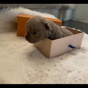 Meet your Posher, Saveth